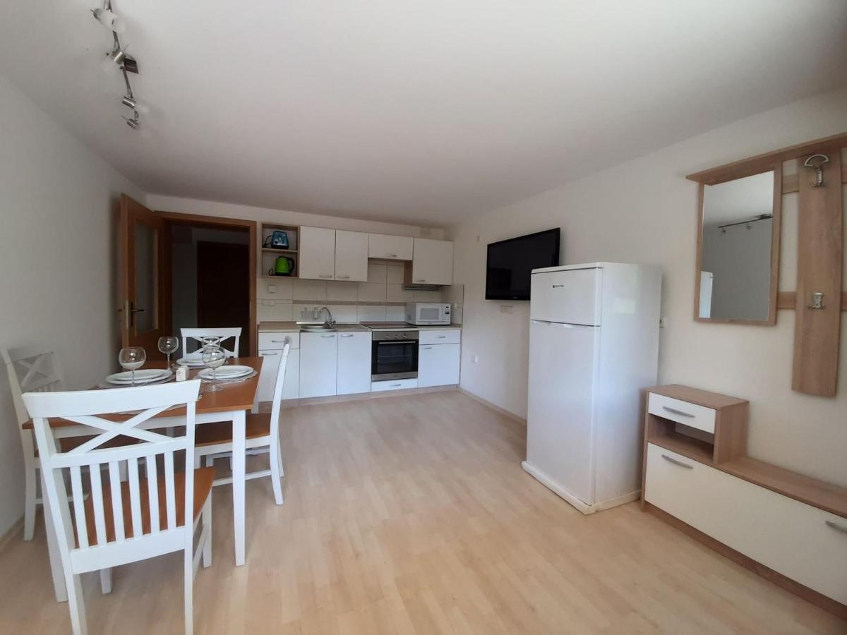 Apartament Tatiana Rogaska Slatina Bagian luar foto