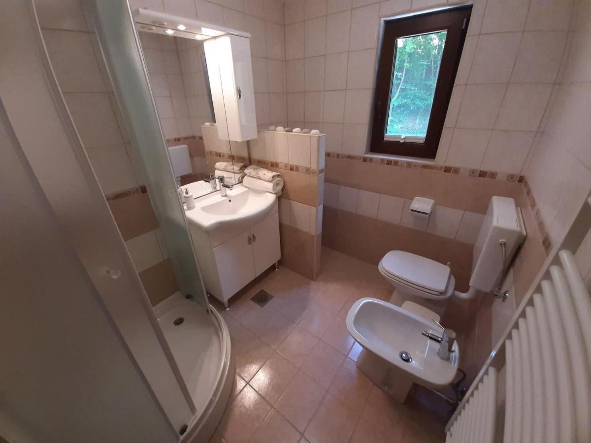 Apartament Tatiana Rogaska Slatina Bagian luar foto